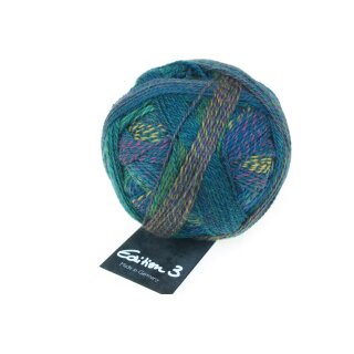 Edition 3.0 - Waschtag 1523 2298_