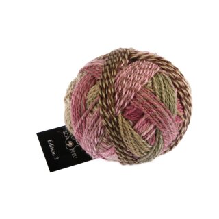 Edition 3.0 - Holzklasse 1523 2442_