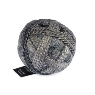 Zauberball Stärke 6 Schlammpackung 1289 2428