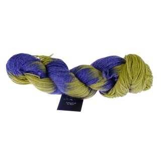 Admiral X Pro Hasenfuss 1873 2496_