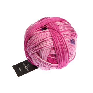 Gradient Pink Affaire 1395 2517_