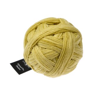 Stachelbeere 2372_