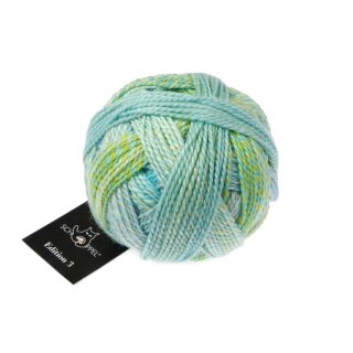 Edition 3.0 - Leise Töne 1523 2598_