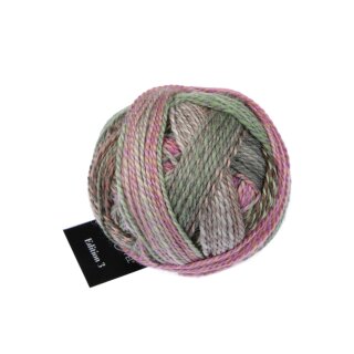 Edition 3.0 - Aurora 1523 2629_