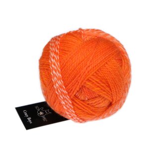 Crazy Boys 2025 2699_Helmut