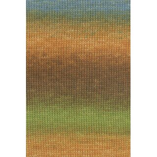 ORANGE/OLIVE/BROWN/BLUE 0008