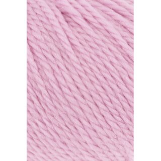 ROSA 0019